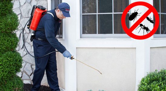 Çat Böcek ve Haşere İlaçlama böcek ilaçlama ve haşere kontrolü — ilaclama-tr.com